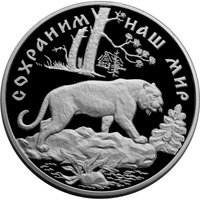 Фото юбилейная серебряная монета 100 рублей 1996 года из серии «Сохраним наш мир» — Амурский тигр, реверс
