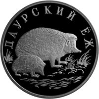 Фото юбилейная серебряная монета 1 рубль 1999 года из серии «Красная книга» — Даурский ёж, реверс