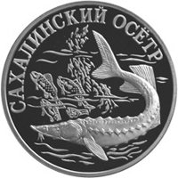 Фото памятная серебряная монета 1 рубль 2001 года из серии «Красная книга» — Cахалинский осетр, реверс