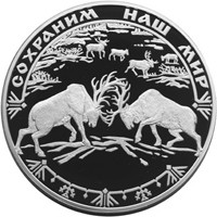 Фото юбилейная серебряная монета 100 рублей 2004 года из серии «Сохраним наш мир» — Северный олень, реверс