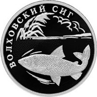 Фото памятная серебряная монета 1 рубль 2005 года из серии «Красная книга» — Волховский сиг, реверс