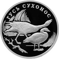 Фото памятная серебряная монета 1 рубль 2006 года из серии «Красная книга» — Гусь сухонос, реверс