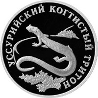 Фото памятная серебряная монета 1 рубль 2006 года из серии «Красная книга» — Уссурийский когтистый тритон, реверс