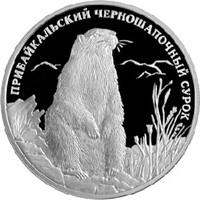 Фото памятная серебряная монета 2 рубля 2008 года из серии «Красная книга» — Прибайкальский черношапочный сурок, реверс