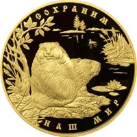 Фото коллекционная золотая монета 10 000 рублей 2008 года из серии «Сохраним наш мир» — Речной бобр, реверс