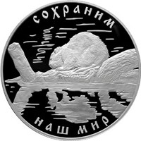 Фото юбилейная серебряная монета 25 рублей 2008 года из серии «Сохраним наш мир» — Речной бобр, реверс