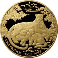 Фото коллекционная золотая монета 10 000 рублей 2011 года из серии «Сохраним наш мир» — Переднеазиатский леопард, реверс