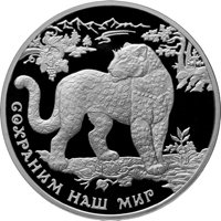 Фото юбилейная серебряная монета 3 рубля 2011 года из серии «Сохраним наш мир» — Переднеазиатский леопард, реверс