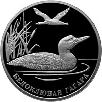 Фото памятная серебряная монета 2 рубля 2012 года из серии «Красная книга» — Белоклювая гагара, реверс