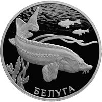 Фото коллекционная серебряная монета 2 рубля 2019 года из серии «Красная книга» — Белуга, реверс