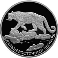 Фото коллекционная серебряная монета 2 рубля 2019 года из серии «Красная книга» — Дальневосточный леопард, реверс