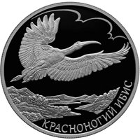Фото коллекционная серебряная монета 2 рубля 2019 года из серии «Красная книга» — Красноногий ибис, реверс