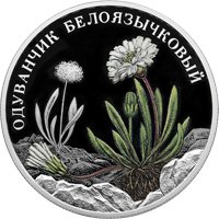 Фото памятная серебряная монета 2 рубля 2022 года из серии «Красная книга» — Одуванчик белоязычковый, реверс