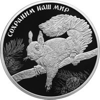 Фото памятная серебряная монета 3 рубля 2023 года из серии «Сохраним наш мир» — Белка обыкновенная, реверс
