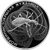 Фото памятная серебряная монета 2 рубля 2024 года из серии «Красная книга» — Морщинистокрылая жужелица, реверс